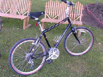 comfort trail bike